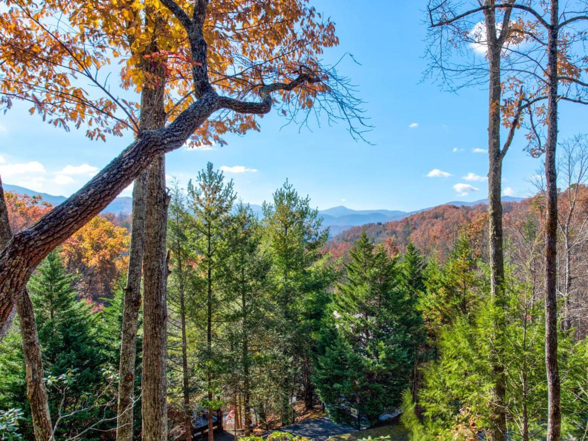 Cubs Corner Villa Gatlinburg Eksteriør billede